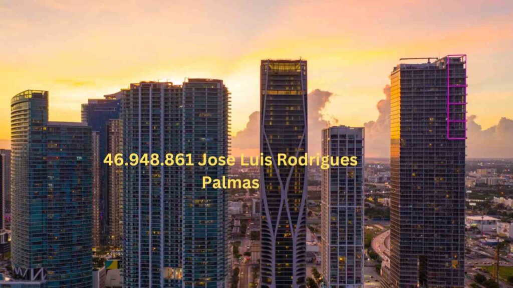 46.948.861 Jose Luis Rodrigues Palmas